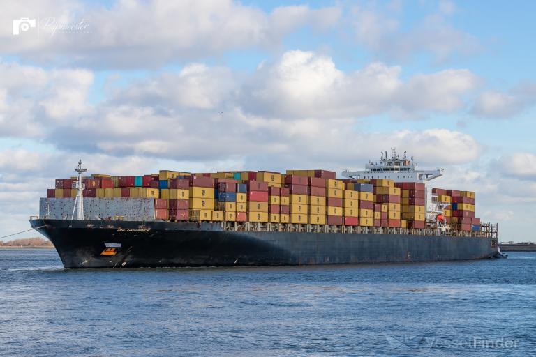 MSC Greenwich